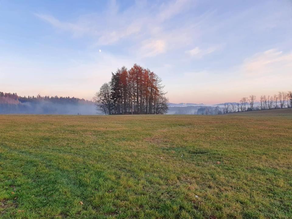 Apartmany Rudnik Bolkov Luaran gambar