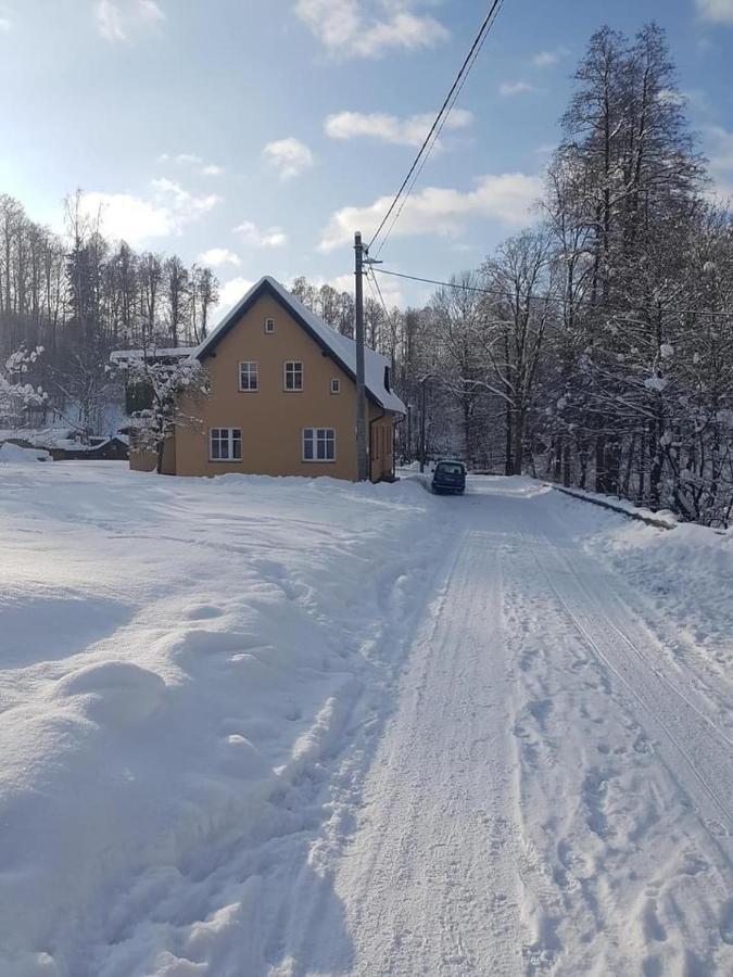 Apartmany Rudnik Bolkov Luaran gambar